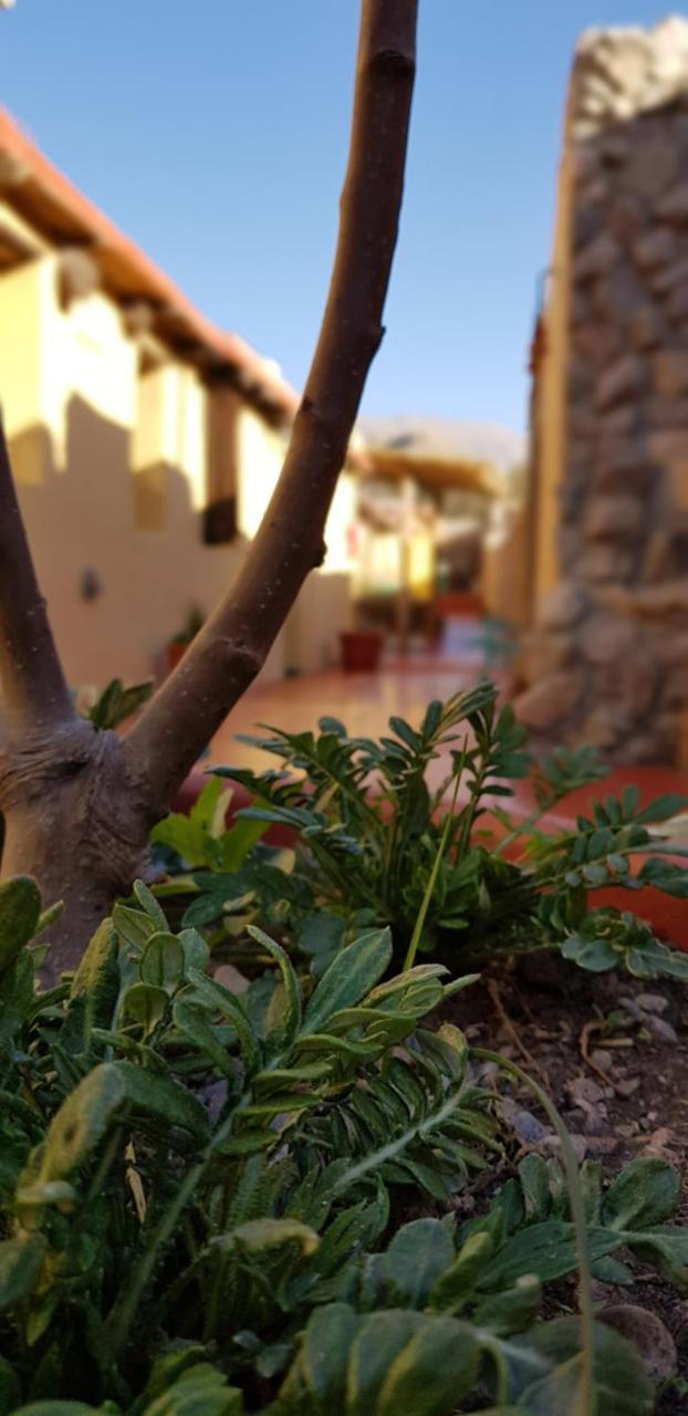 טיליקארה Hostal Asqui Pacha מראה חיצוני תמונה